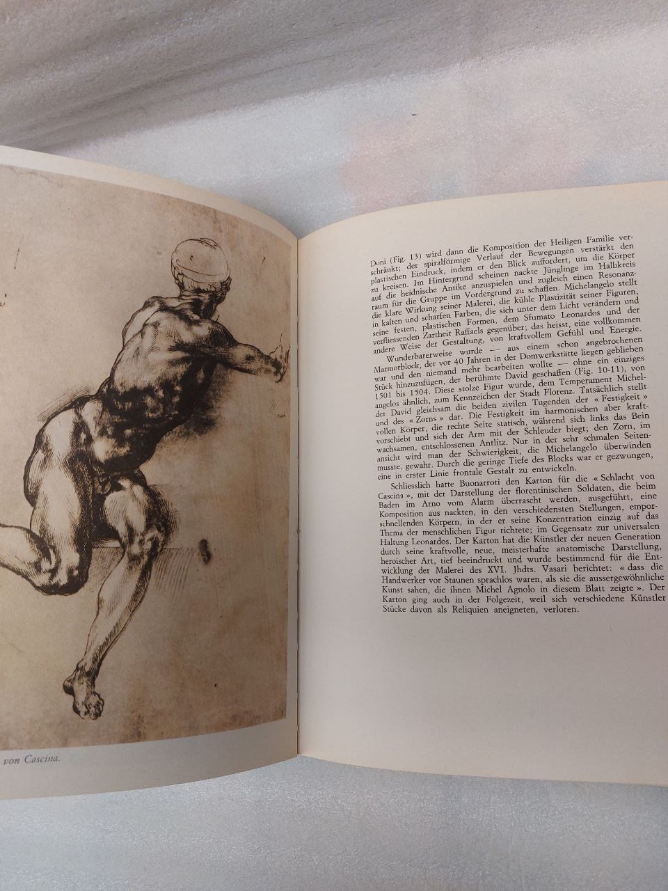 Libri: Michelangelo, Das Gesamtwerk, Kunstbuch! – Usato da Pambio Noranco venduto da Pol69 8