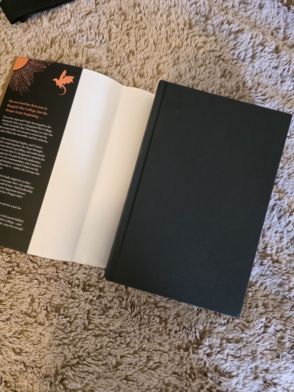 Libri: Buch Iron flame  selten mit farbschnitt – Nuovo (secondo la descrizione) da Erlen venduto da Noloka_green 3