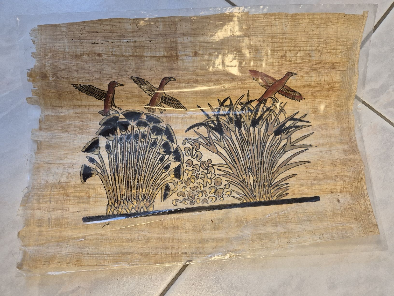Poster & Bilder: Papyrus – Gebraucht aus Buchs ZH von iceblue27806 1