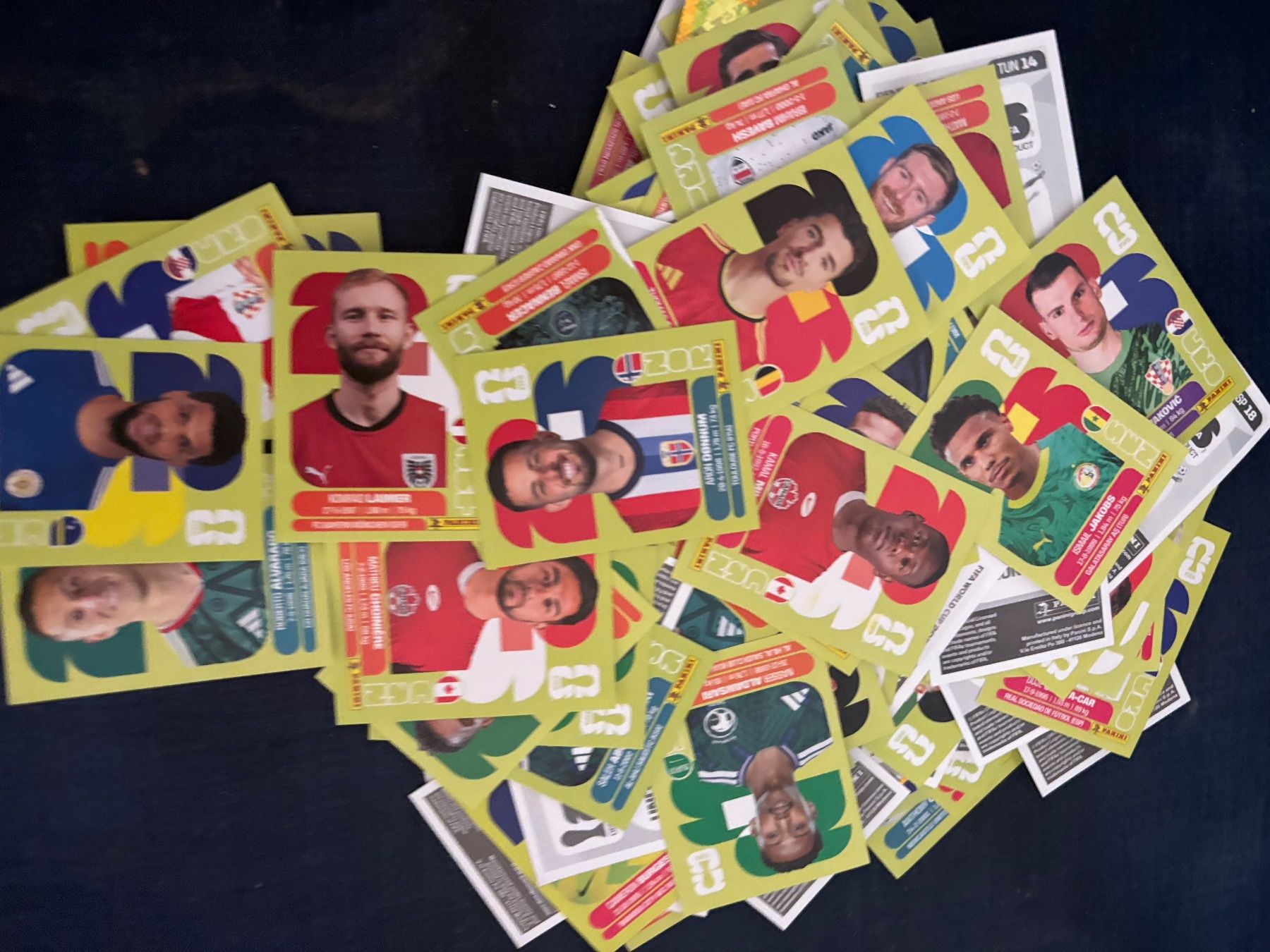 Panini Carte collezionabili: 200 paninini sticker – Usato da Luzern venduto da Pumi85
