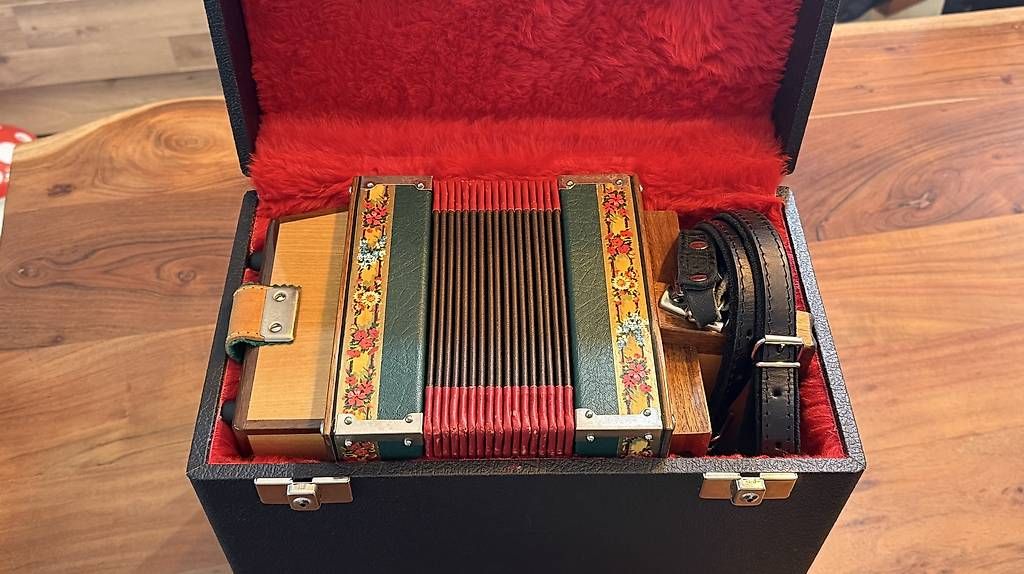 Strumenti musicali: Schwyzerörgeli – Usato da Balgach venduto da Ammare 2