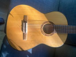 Hanika 50 AF Hochwertige Klassische Gitarre