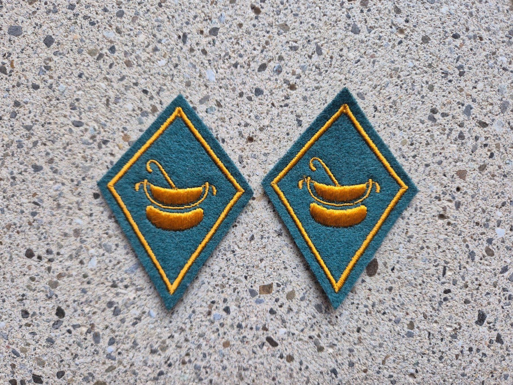 Schweizer Armee Placchette & Badge: *** Kragenspiegel / Kragenpatten *** – Usato da Riedholz venduto da fr_sIruP