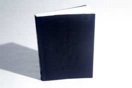 STEFAN SAGMEISTER: Another Book About Promotion and...
