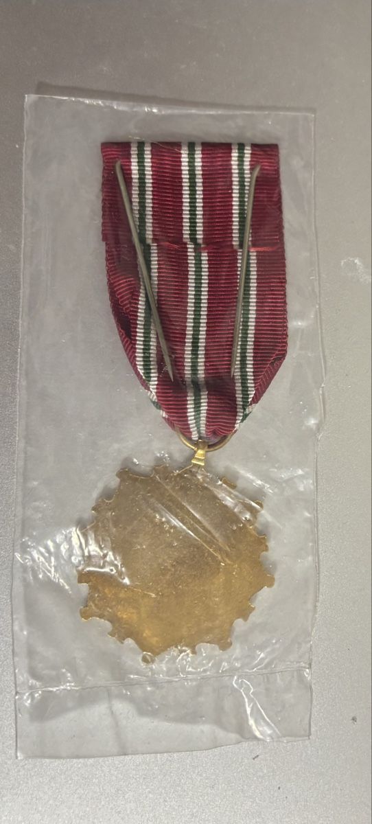 Medaglie: Syrie médaille 8 Mars 1963 – Nuovo e nell'imballaggio originale da Le landeron venduto da santa_99 1