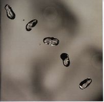 Peter Gabriel – Up