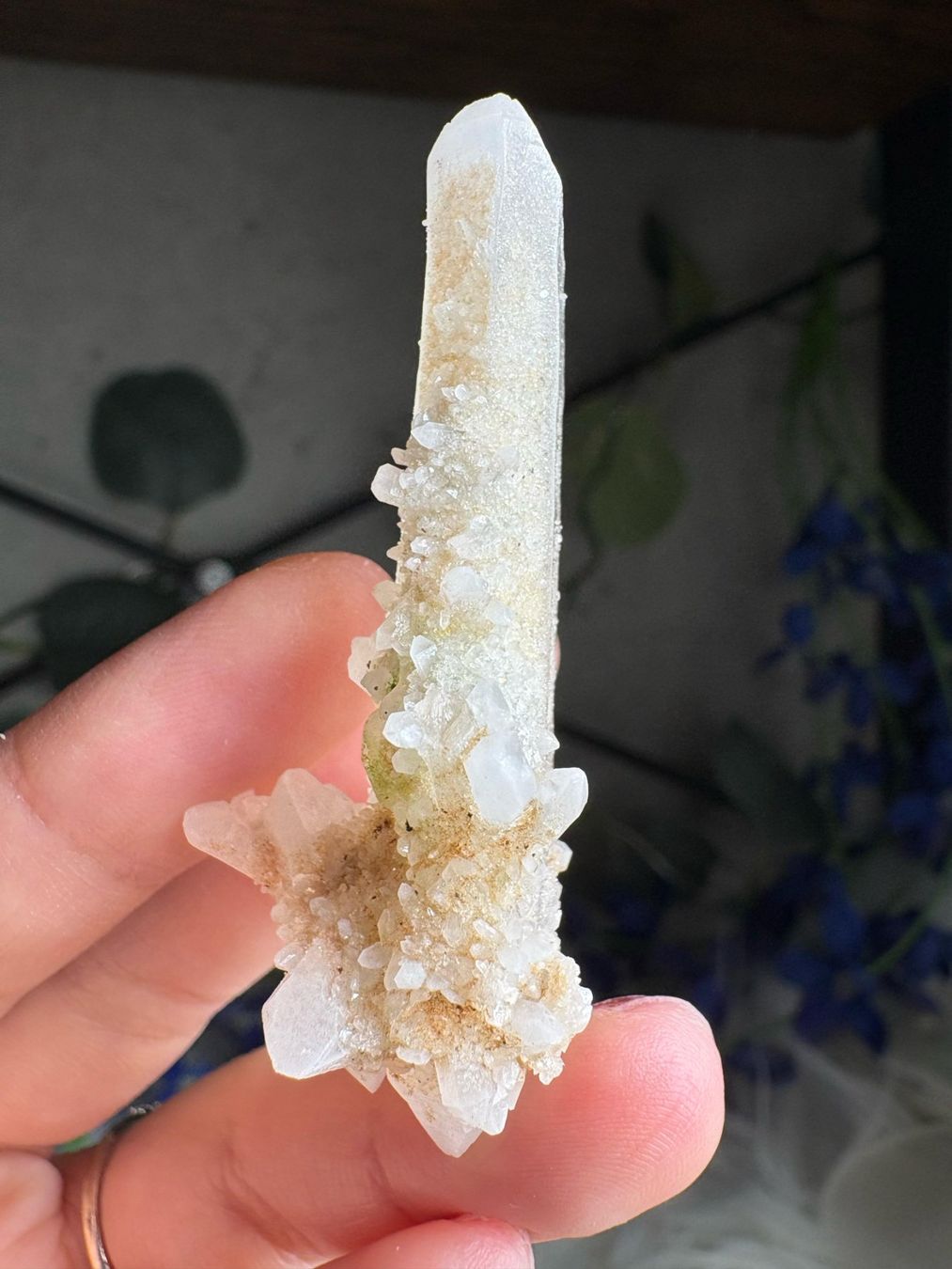 Minerali & Pietre curative: Kolumbianischer Lemurian-Quarz-Cluster – Nuovo (secondo la descrizione) da Neuheim venduto da m.hald 4