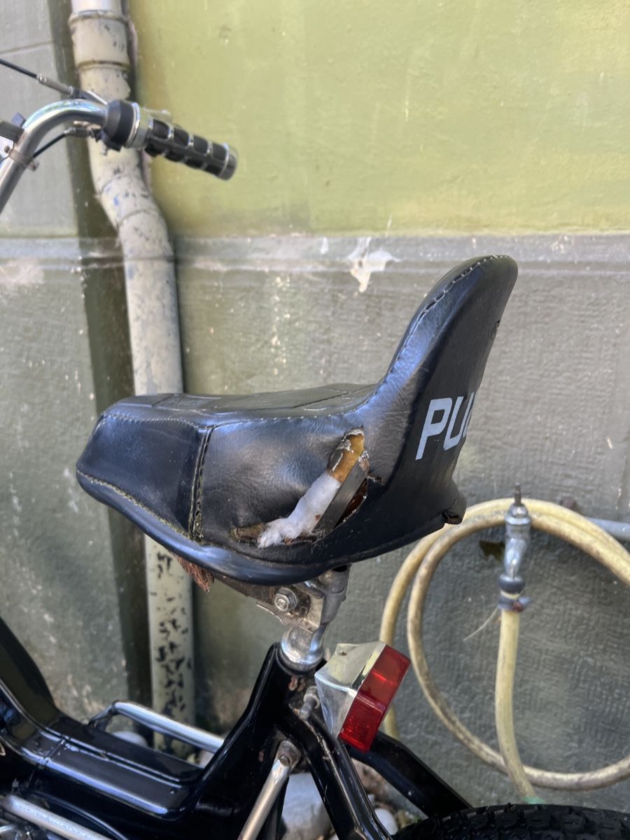 Puch Mofas: Puch Maxi N Mofa mit Ausweis – Defekt aus Basel von evaelette 8