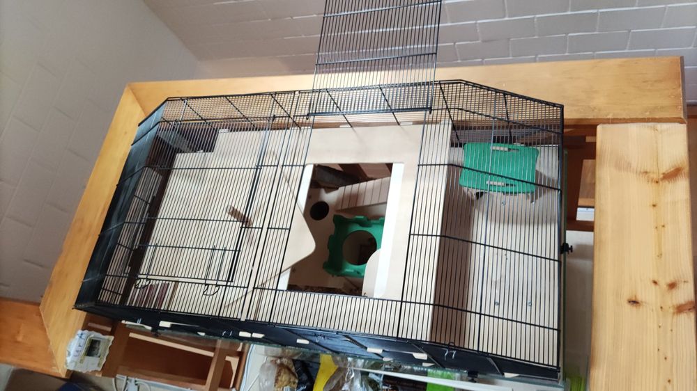 Nagerkäfig Lupo 120 - für Hamster, Rennmäuse (Gebraucht) in Elgg für ...