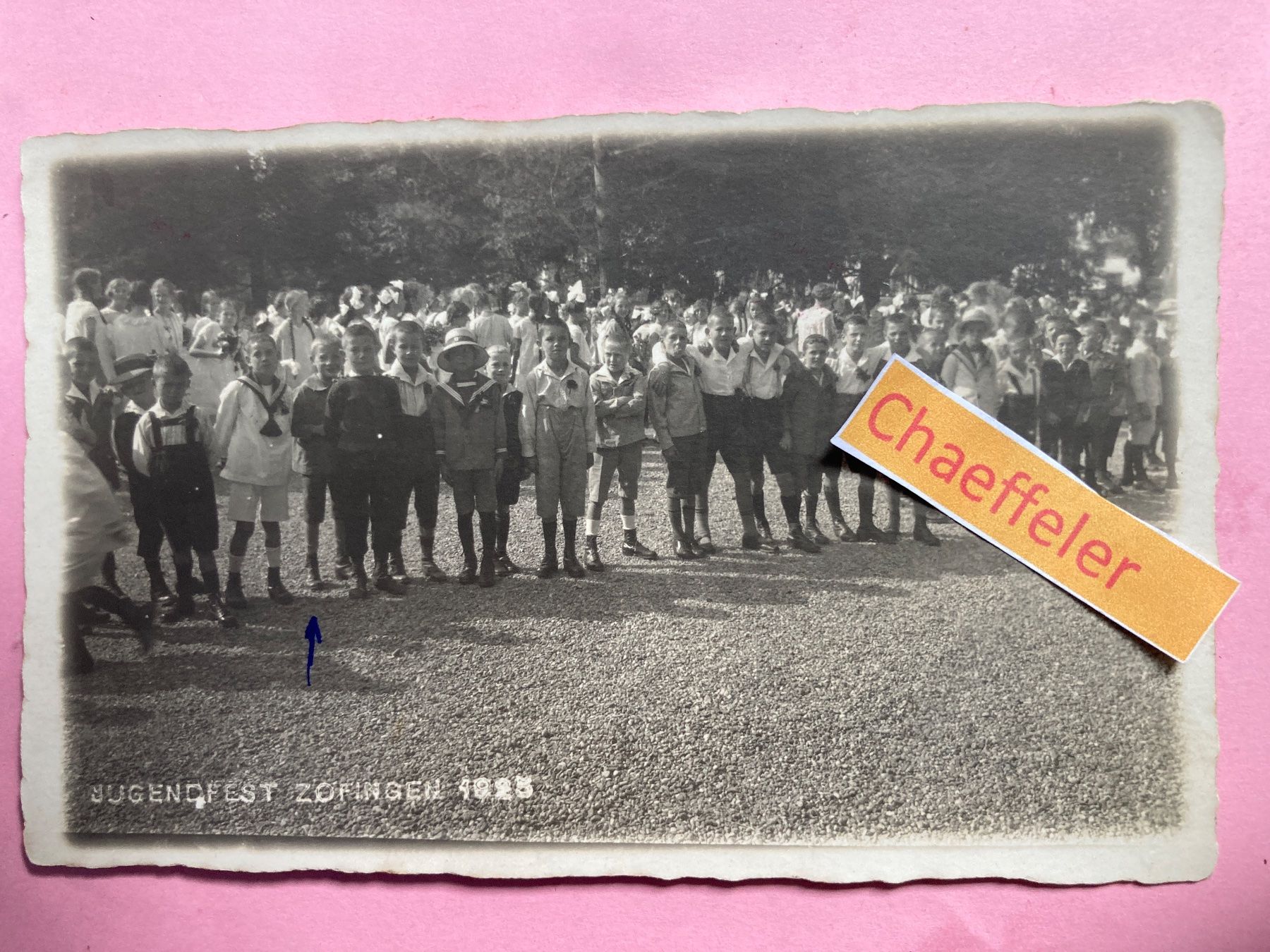 Cartoline postali: Jugendfest Zofingen 1925 – Usato da Zürich venduto da Chaeffeler