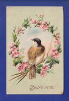 OISEAU - Mésange et fleurs - Carte gauffrée