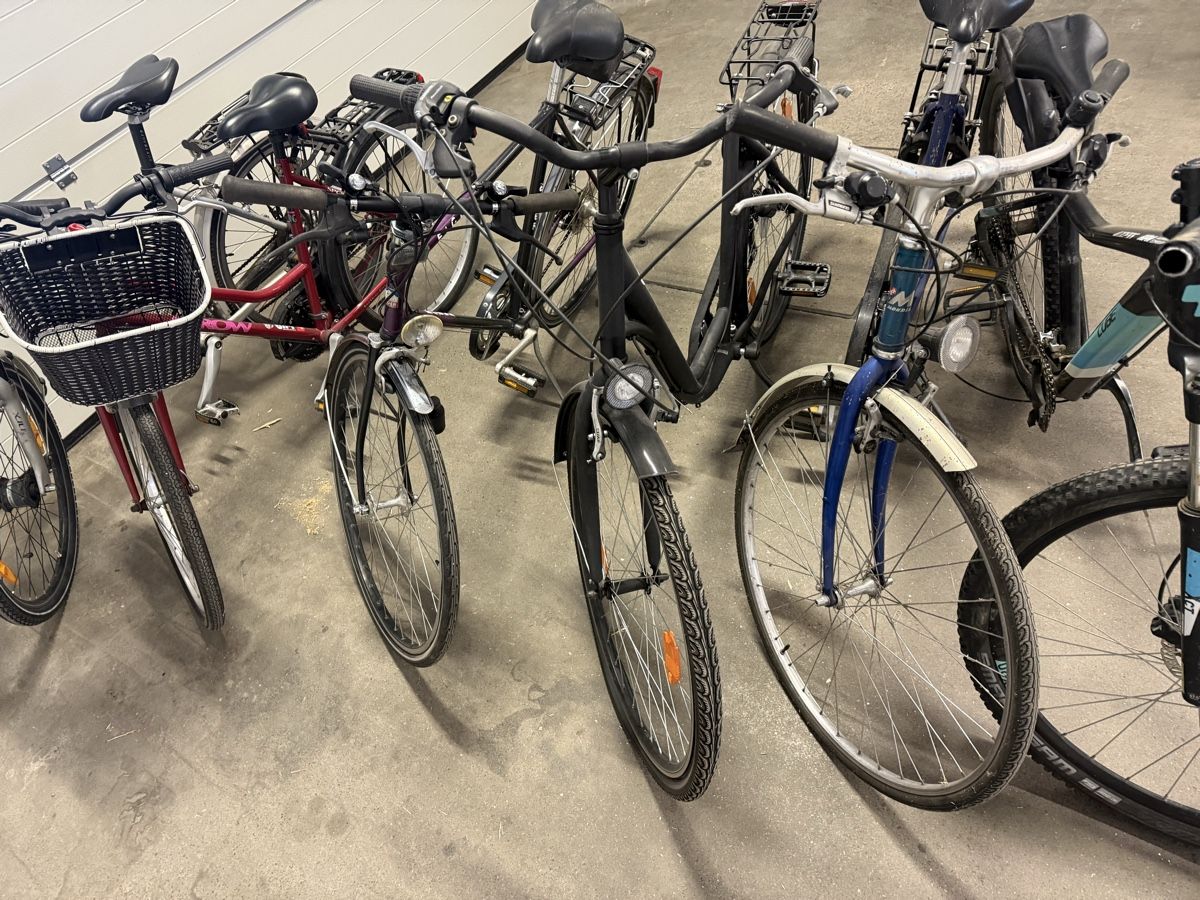 Biciclette: Velo – Difettoso da Horriwil venduto da Carrera68 4