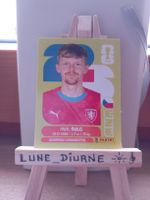 Carte Panini Pavel Šulc world cup 2026 CZE14