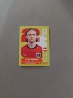 Panini AUT17