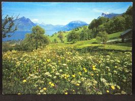 Gewaltfreie Aktion Kaiseraugst 1986