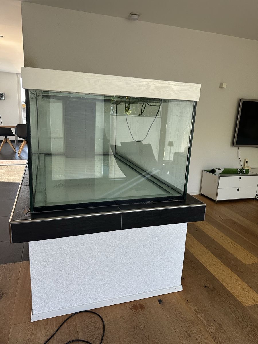Acquari: Aquarium, Glaskubus – Usato da Untereggen venduto da mir_5zwb 2