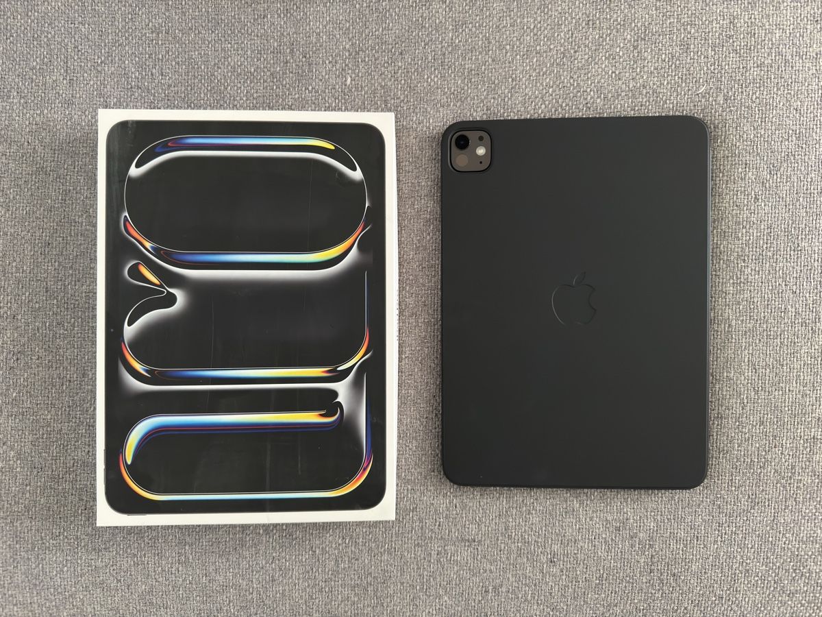 Apple Tablet PC: Ipad Pro 11, M4, 256 GB, Cellular – Usato da röschenz venduto da Dave__