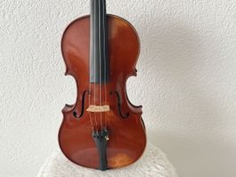 Violon Enrico Politi 4/4  Roma 1940