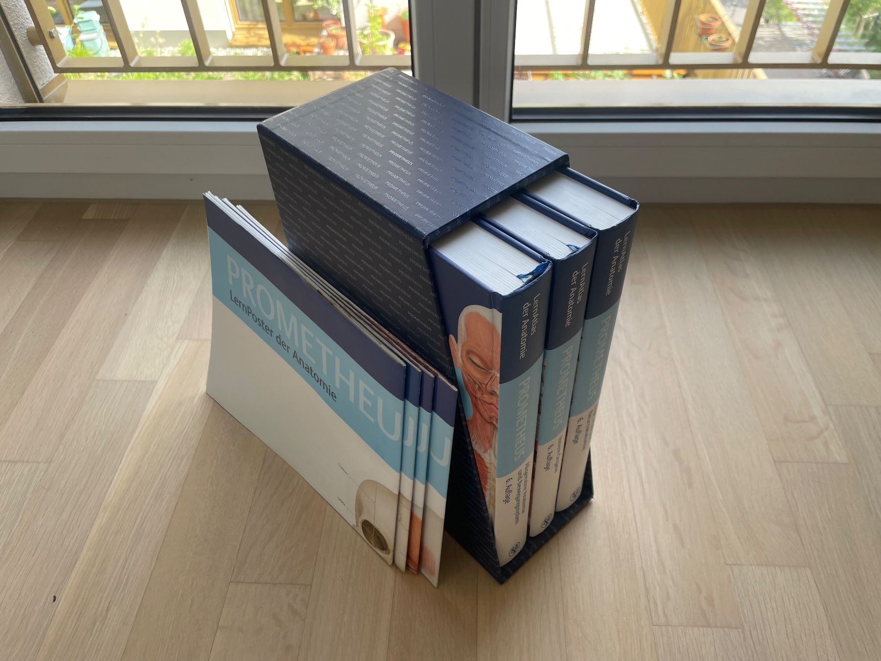 Libri: PROMETHEUS LernPaket Anatomie – Nuovo (secondo la descrizione) da Wetzikon ZH venduto da balzkuenzle
