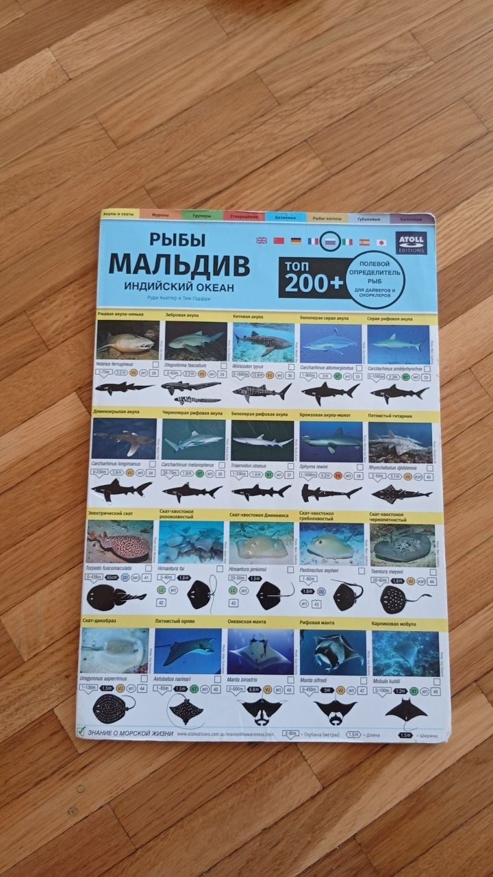 Libri: Set de 3 livres "les Poissons" – Usato da Gland venduto da M_marc 7