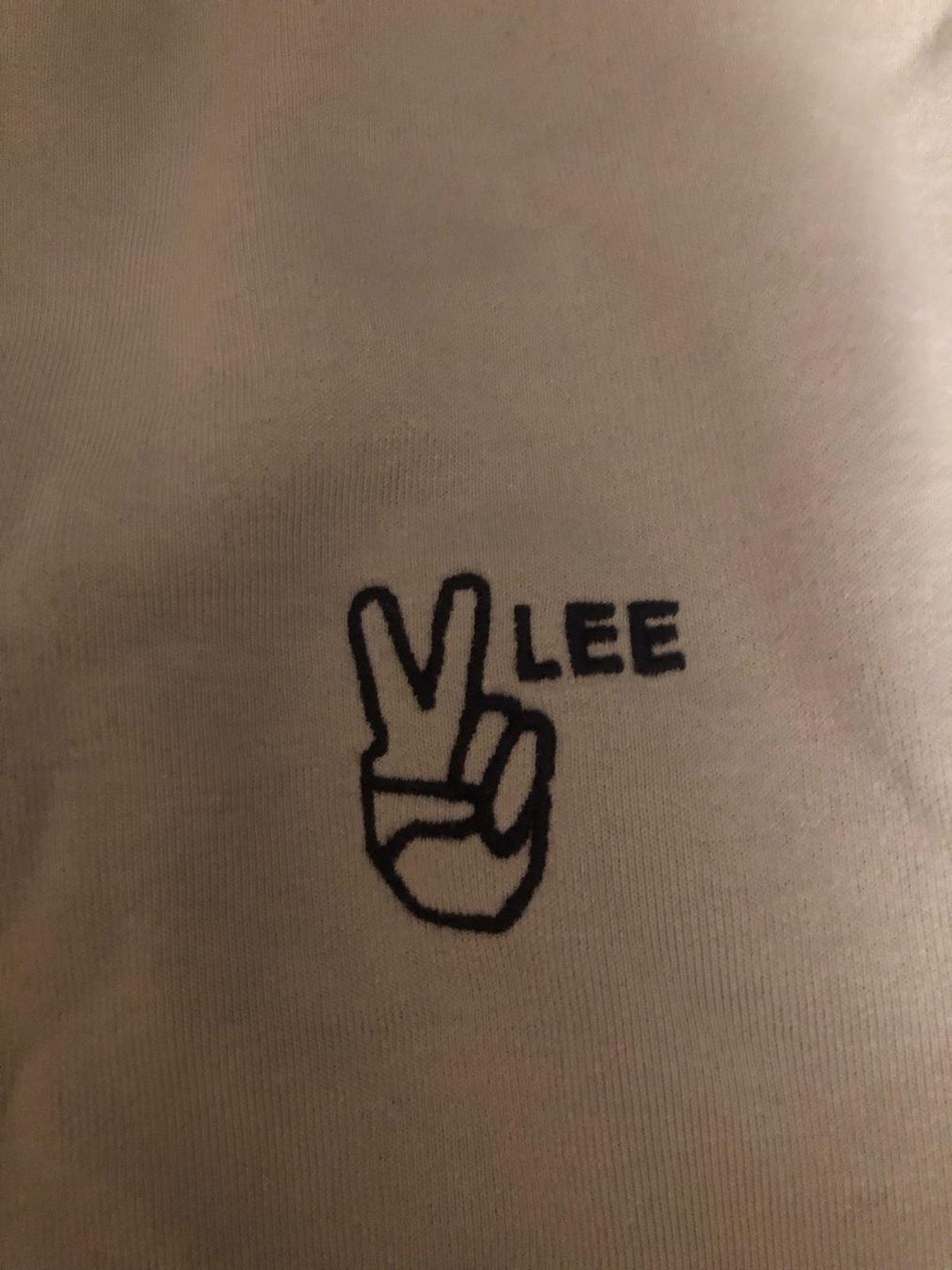 Lee Pullover & Sweatshirts: Lee Pullover mint green Grösse S – Gebraucht aus Safenwil von ang_x8dm 3