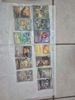 Pokémonsammlung englisch mit Fullarts und Bulk