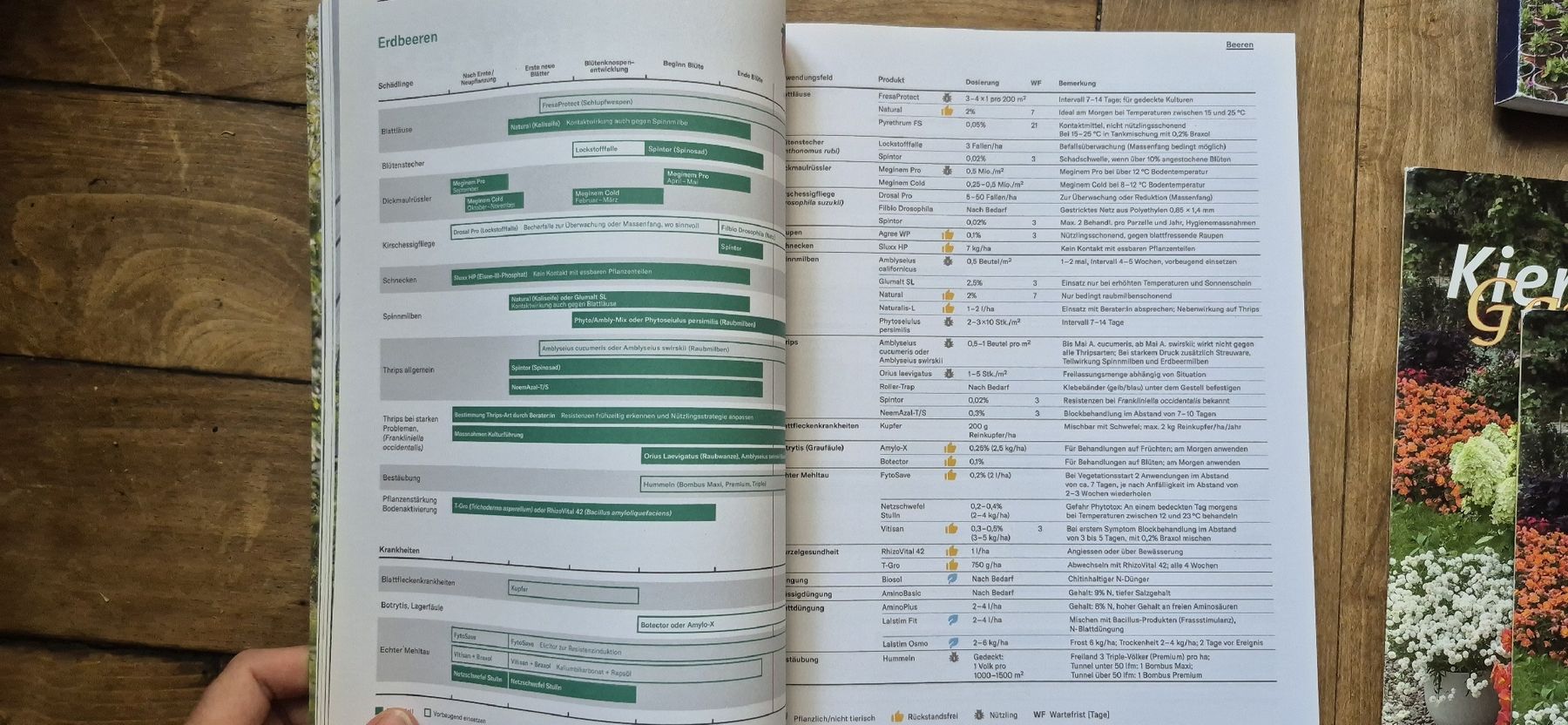 Libri: Pflanzengesundheit 2025 – Usato da Luzern venduto da 365mal 2
