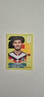 Panini GER 17