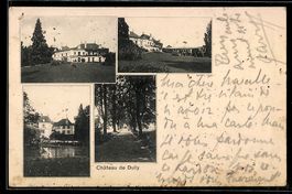 AK Dully, Château de Dully