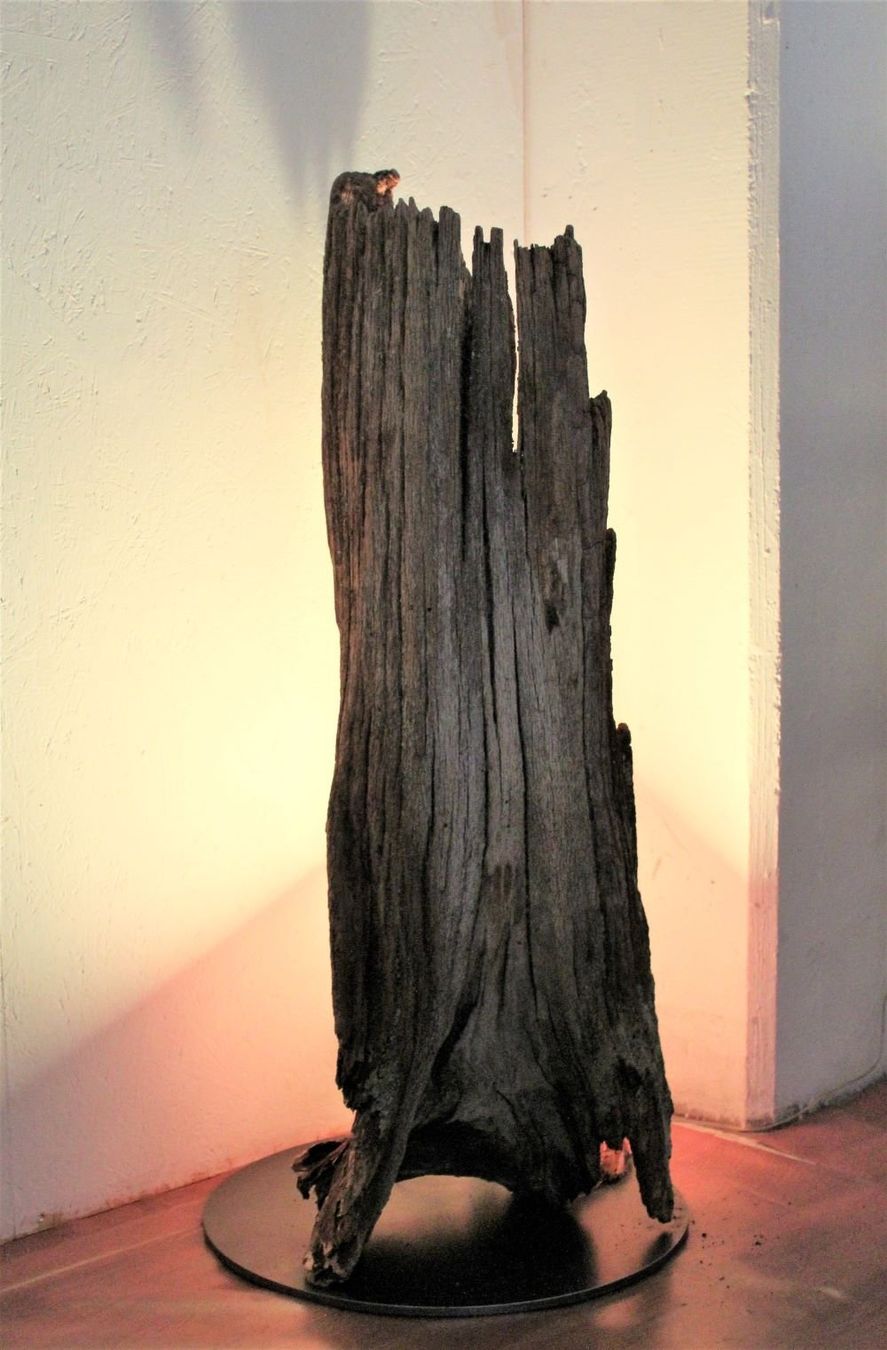 Lampade: Baumwurzel-Lampe. DEKO. – Usato da Trun venduto da artantic