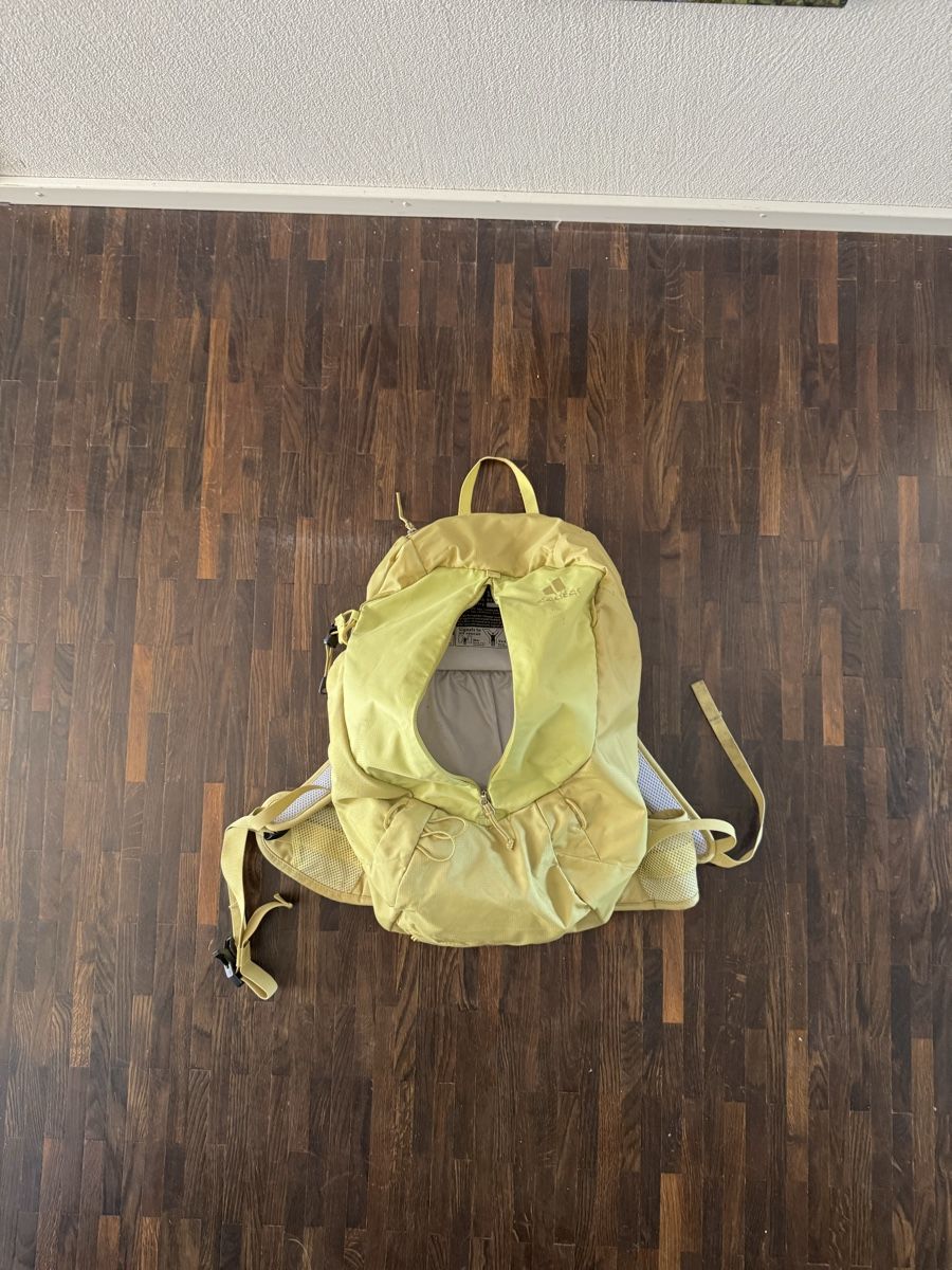 Deuter Zaini: Deuter Wanderrucksack AC Lite 21 SL – Usato da Chur venduto da Malvivente 2
