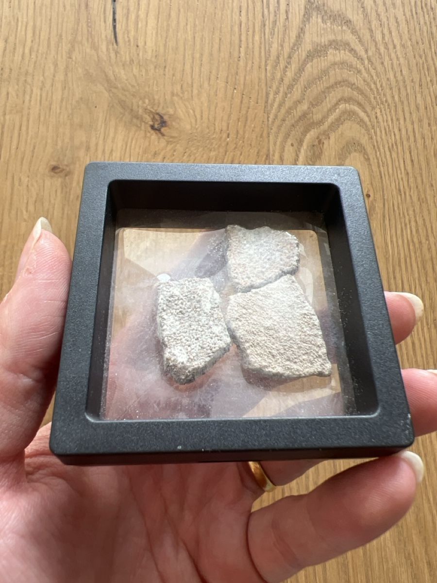 Fossilien: Hypselosaurus Eierschalenfragmente 3stk – Gebraucht aus Ebikon von Angelheart1000 1