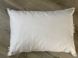 Daunenkissen Kopfkissen 50x70, wenig gebraucht