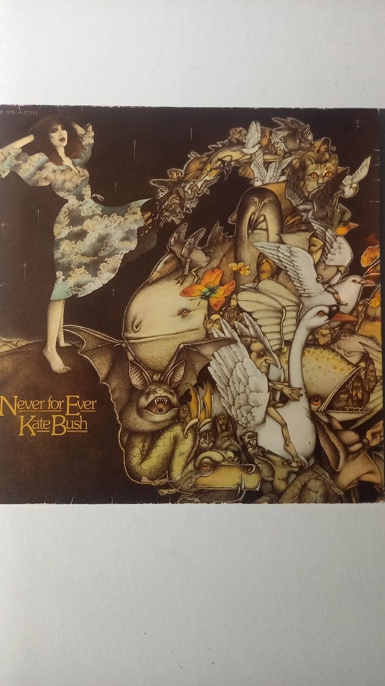 Dischi in vinile: Kate Bush - Never for Ever LP Vinyl Schallplatte – Usato da St. Gallen venduto da Bir_Rer