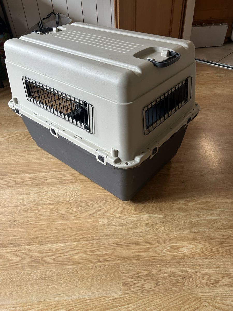 Gabbie, trasporto & Sicurezza: Praktische Hunde Transportbox  – Usato da Gattikon venduto da salomefrehner 2