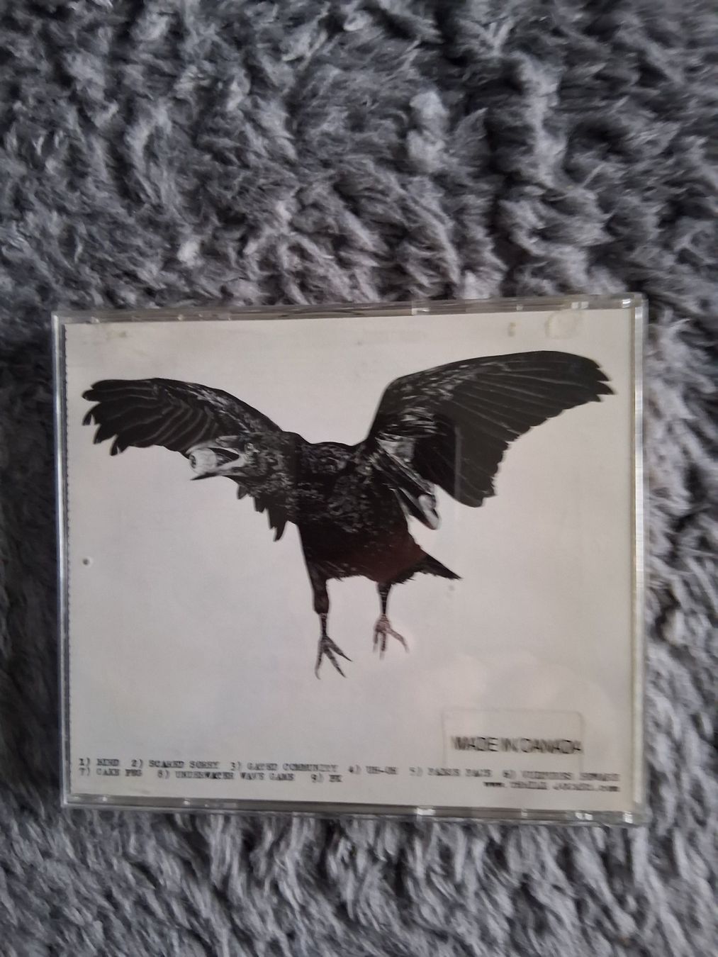 CD: PIT ER PAT    SHAKEY     CD – Usato da Wetzikon ZH venduto da Ramones01 1