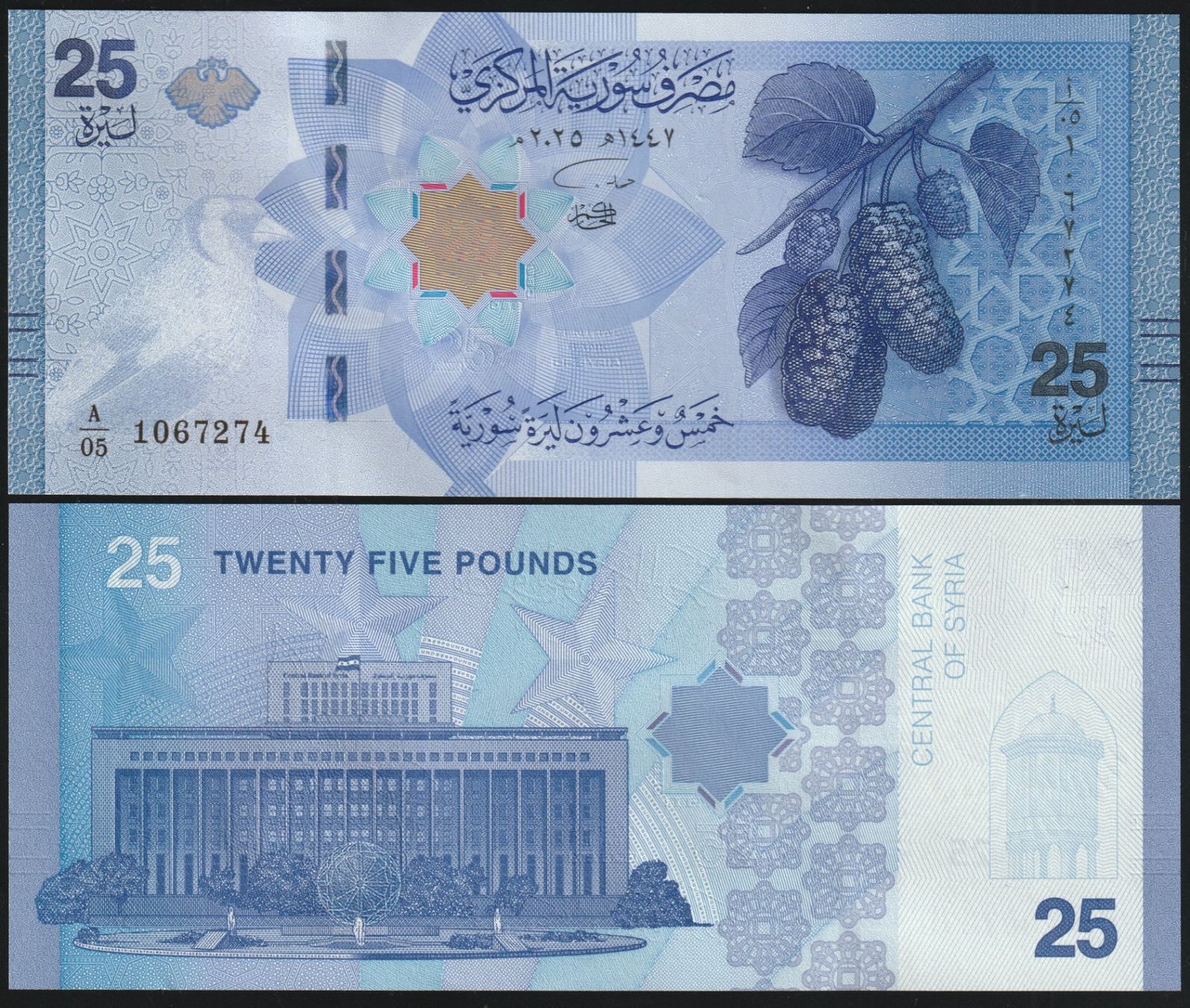 Banconote: Syrien 25 Pounds UNC 2025 – Nuovo (secondo la descrizione) da Naters venduto da Radman