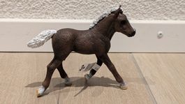 Schleich - Schwarzwälder Fohlen - Neu