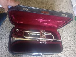 Vintage Parrot Trompete Bb