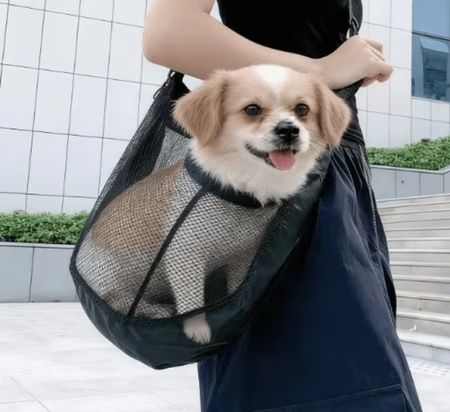 Hundetransporttasche Umhängetasche Netzt Sommertasche Hund