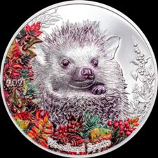 Profile image of wellnessproducts