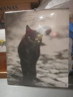 Katzen-Kalender 2003, Fotos von Albrecht