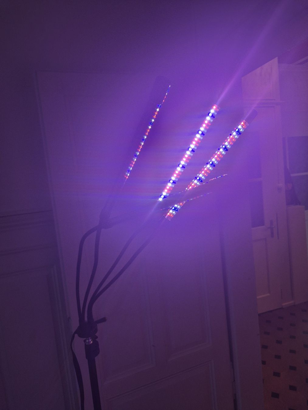 Lampade: Pflanzenlampe LED mit Ständer und Timer 2 Stk – Usato da Wald ZH venduto da _Hotarubi_ 4