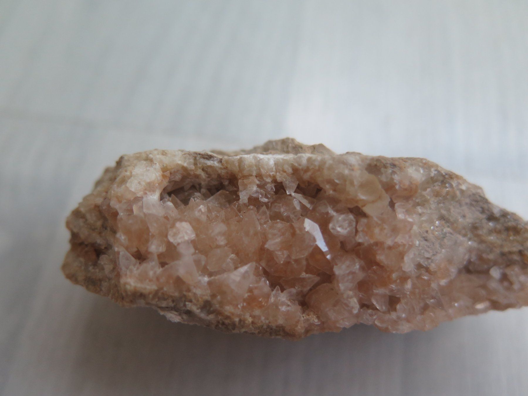 Minéraux & Lithothérapie: Fossil und eine Calcit Stufe – D'occasion à Schaffhausen par Yamakana51L8736OQ8 6