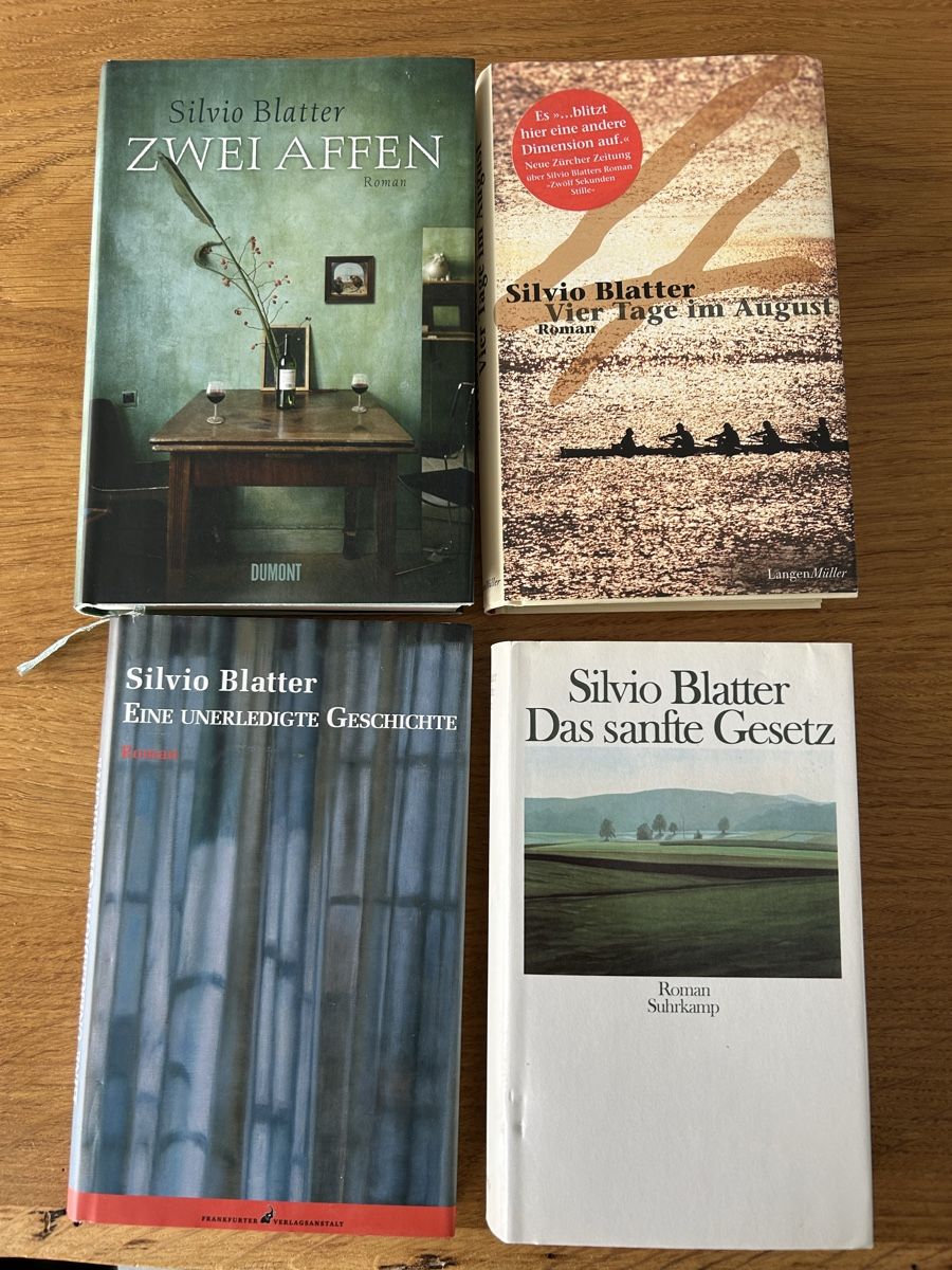 Libri: Silvio Blatter - 4 Romane im Set - Top Zustand! – Usato da Wohlen AG venduto da Rstoeckli6