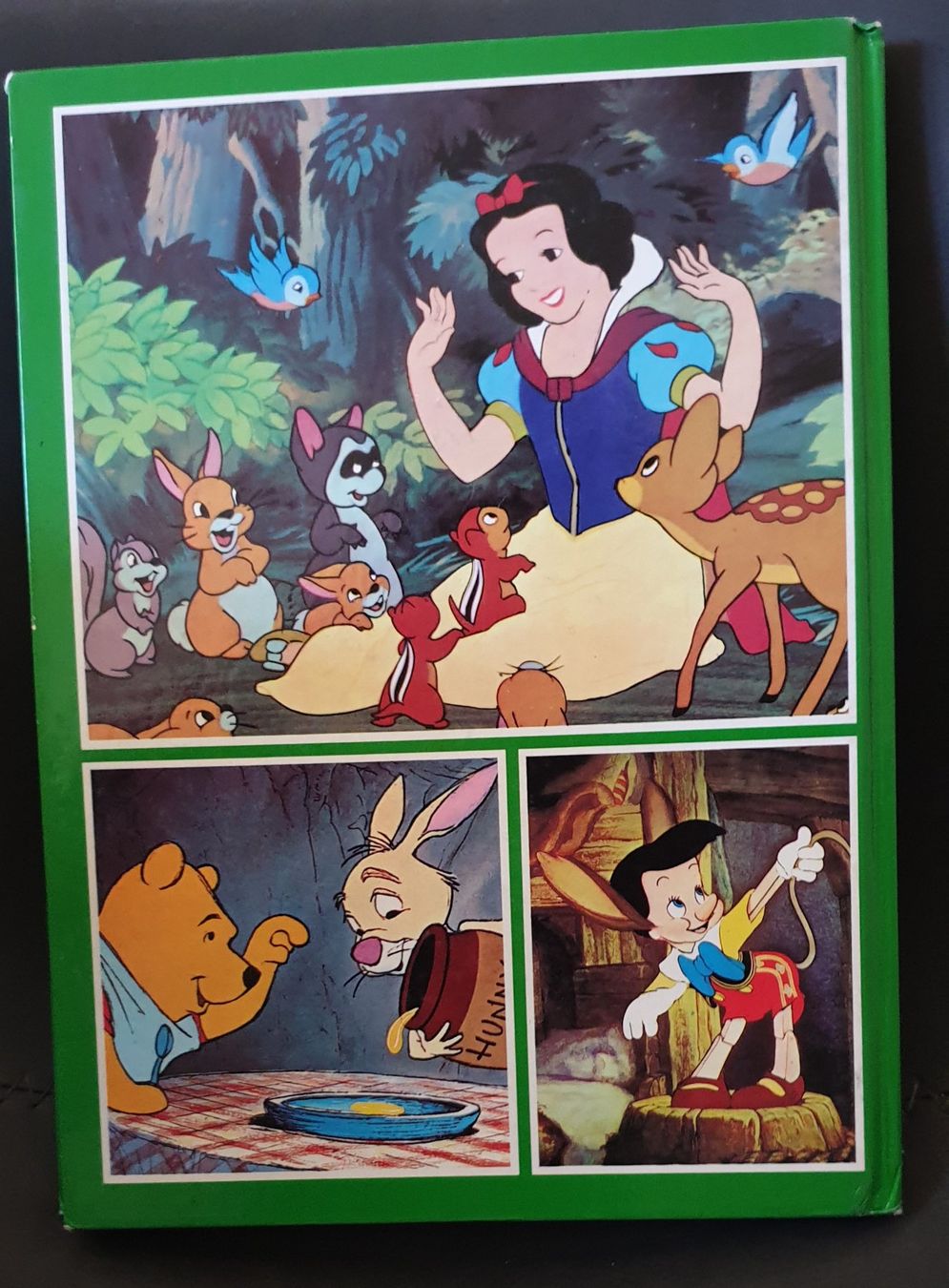Libri: Walt Disney Buch – Usato da Chur venduto da Vintage-Hunter 1