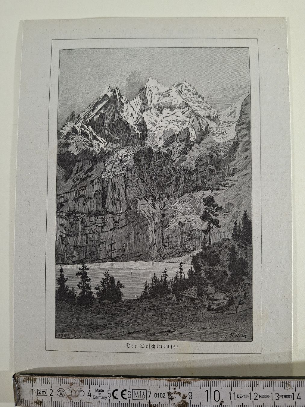 Incisioni: Lot 42 , 5 Stiche – Usato da Grindelwald venduto da carro5 1