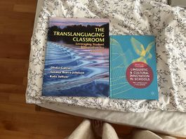 8.Translanguaging