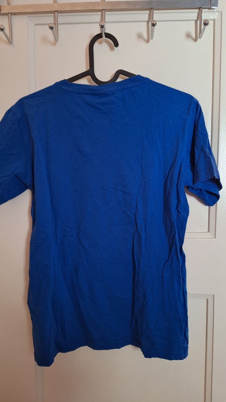 Champion Camicie, T-shirt & Polo: Champion T-Shirt Blau – Usato da Winterthur venduto da _lxeah 1