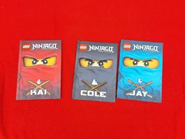 LEGO Ninjago Bücher Kai Cole Jay gebraucht